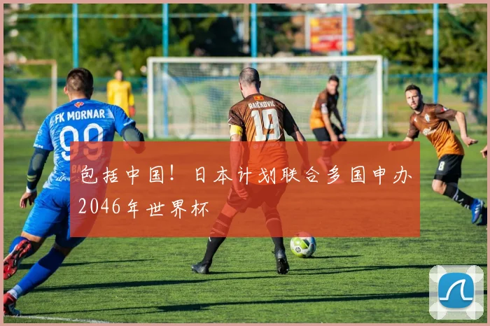 包括中国！日本计划联合多国申办2046年世界杯